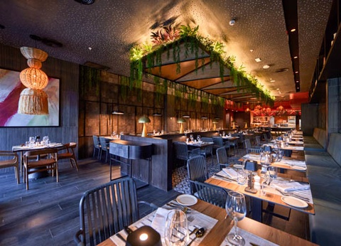 Club Framissima Premium RIU Turquoise 4* - 15