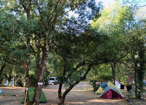 Camping Ludo Parc Pausado, 3* - 17