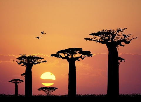 Sénégal Authentique 9J/7N - Départ les vendredis - 8