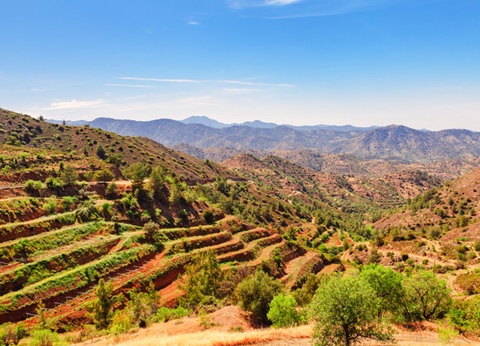 Circuit Découverte chypriote, logement Framissima Pernera Beach **** - 13