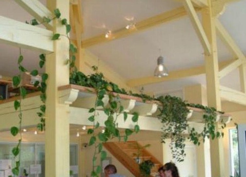 Camping Lou P'tit Poun, 4* - 19