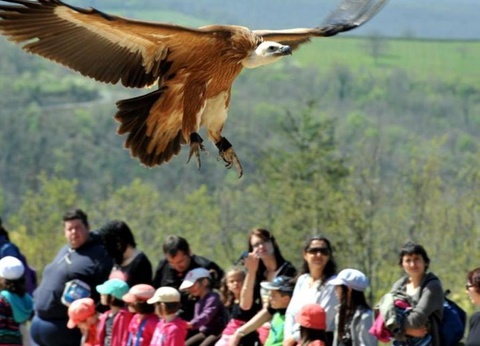 Camping L'Eau Vive, 4* - 58