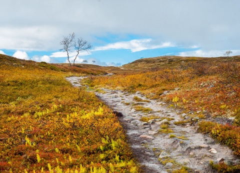 Circuit Grandeurs des 3 Laponies - 10