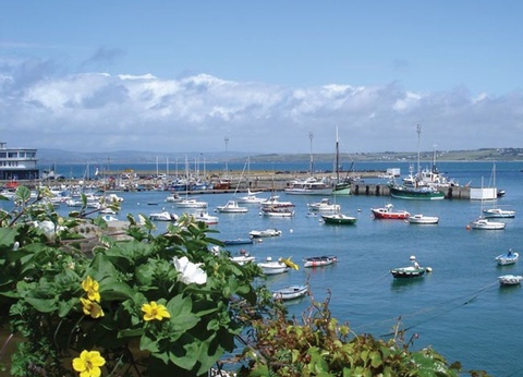 Camping La Plage de Tréguer 4* - 10