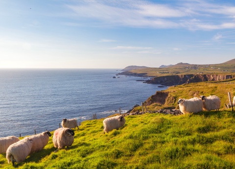 Circuit Irlande du Nord, Donegal et Connemara - 7