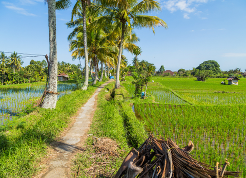 Circuit Bali Autrement - 21