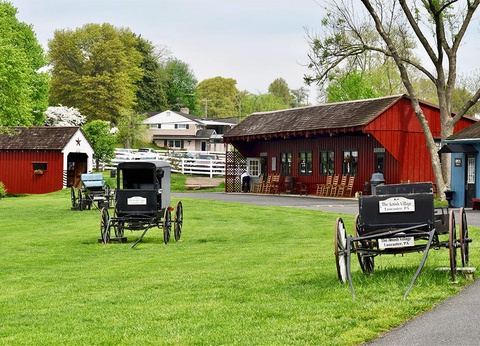 Circuit Les Cités Lumineuses - Canada et Etats-Unis 2 & 3* - 11