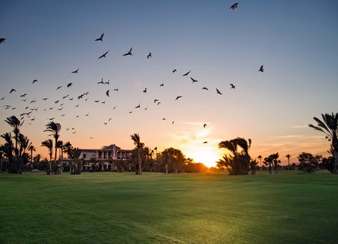 Hôtel Pickalbatros Hotel Du Golf 5* - 12