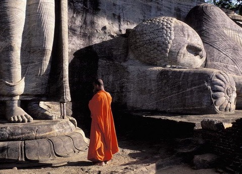 Circuit privé Ceylan en liberté - 5