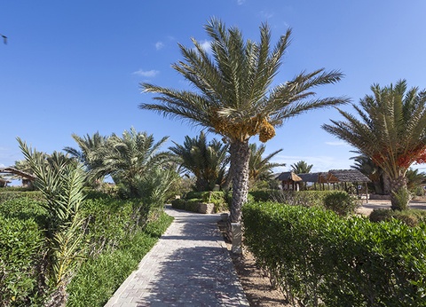 Hôtel Seabel Rym Beach 4* - 26