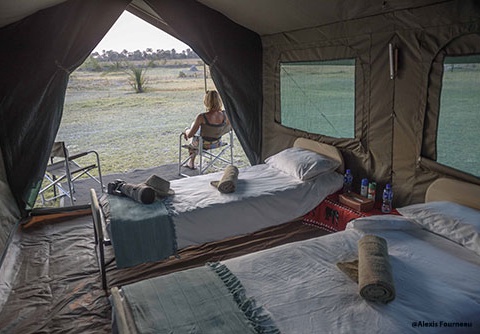 Immersion au Botswana 11J/8N - 2025 - 5