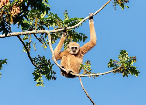 Trésors authentiques du Siam 4* & séjour Ôclub Experience Khaolak Emerald Resort & Spa 4* Thaïlande - 13