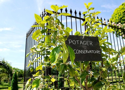 Séjour dans un monument historique avec visite de la cave de Vouvray - 3* - 11