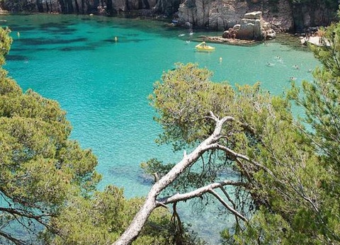 Camping Mas Patoxas, 4* - 57