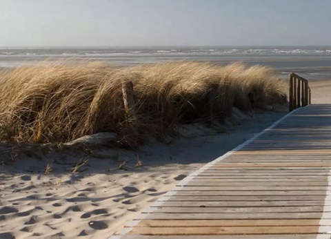 Flower Camping Beauchêne 3* - 32