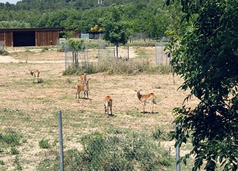 Camping La Grange Neuve, 3* - 13