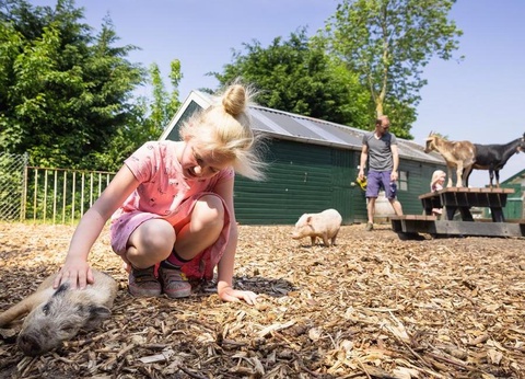 Camping Marvilla Parks Friese Meren, 4* - 13