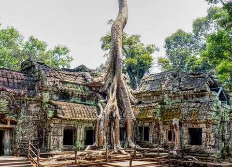 Cambodge Intimiste 13J/10N - 4