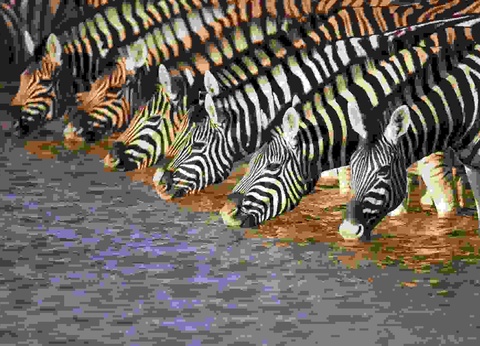 Découverte de la Namibie & Fish River Canyon 14J/11N - Limité à 22 pers. - 2025 - 8