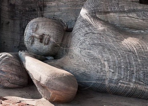 Circuit privé Ceylan buissonnier - 17