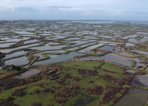 Camping La Roseraie, 4* - 13