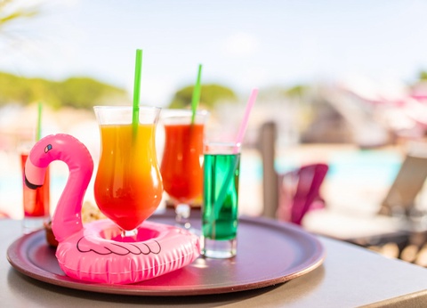 Camping Flamants Roses 4* - 12