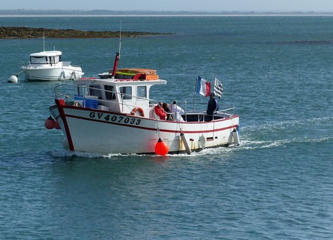 Camping Le Bois d'Amour - 12