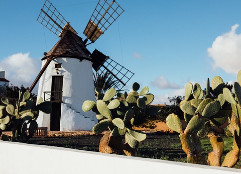 Combiné THB Flora 3* by Ôvoyages & Smart Club SMY Tahona 3* - 9