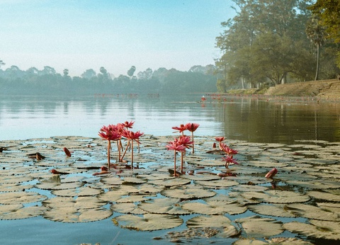 Combiné circuit et hôtel Voyage en terre cambodgienne : d'Angkor à l'île oubliée ***** - 5