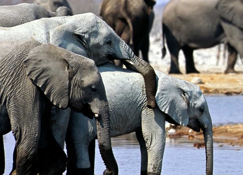 Circuit Chemins oubliés d'Afrique australe - 15