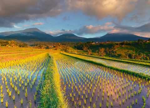 Circuit Bali Authentique en Privatif 4* - 15