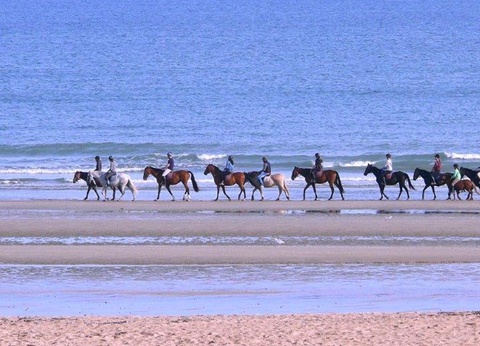 Camping Le Robinson, 3* - 22