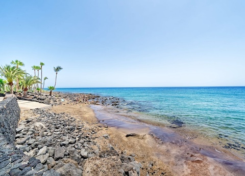 Hôtel BLUESEA Playa Club 3* - 23