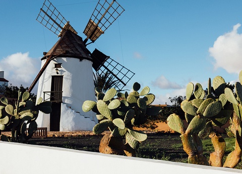 Hôtel Ôclub Select Fuerteventura Princess 4* - 18