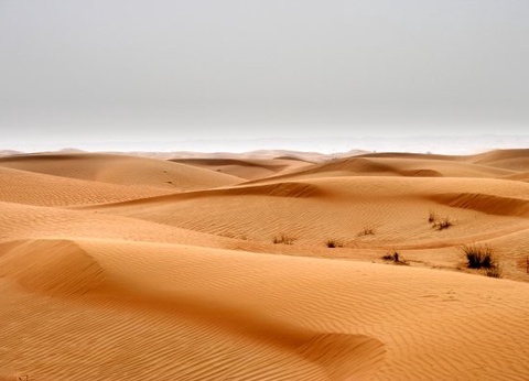 Circuit Oman, terre de traditions - 12