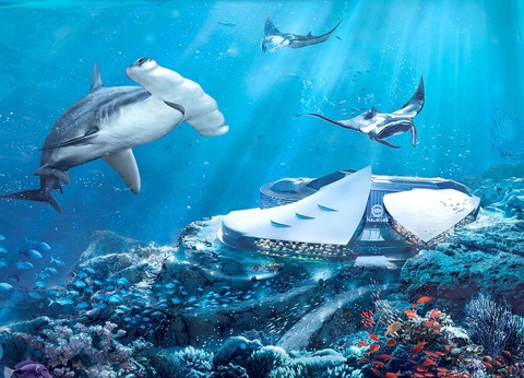 Séjour familial avec entrée à l'Aquarium Nausicaa - 3* - 12