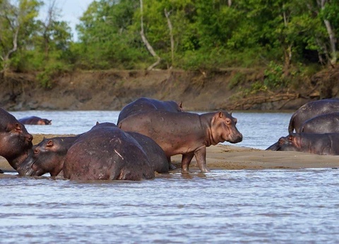 Combiné Ôclub Select SBH Monica Zanzibar 5* et Safari 2 nuits - 4