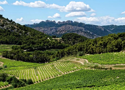 Camping La Pinède en Provence, 3* - 48