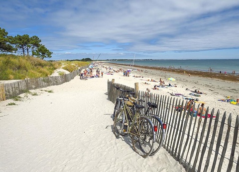 Camping Le Bois d'Amour - 2