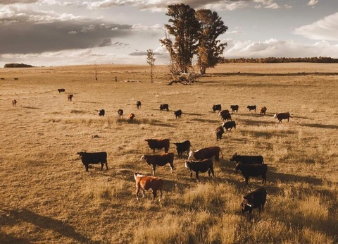 Circuit Escapade en Argentine - 8