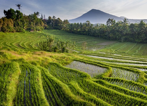 Combiné circuit et extension Fontana Hôtel - 14