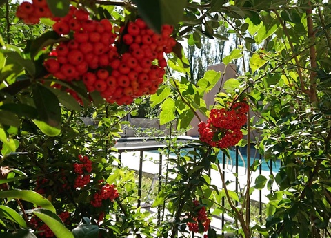 Camping Lodges & Nature - 15