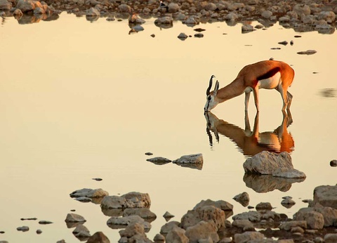 Circuit L'Afrique grandeur nature : déserts, canyons et grands espaces - 3