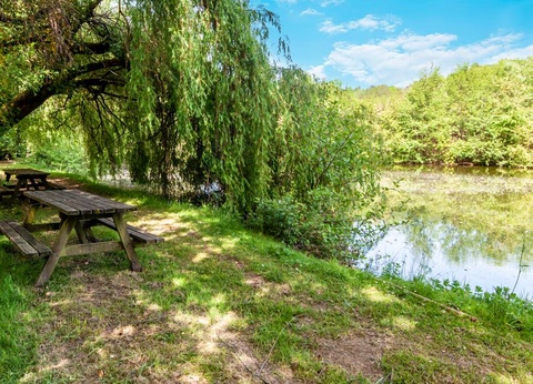 Camping les Etangs du Plessac 4* - 60