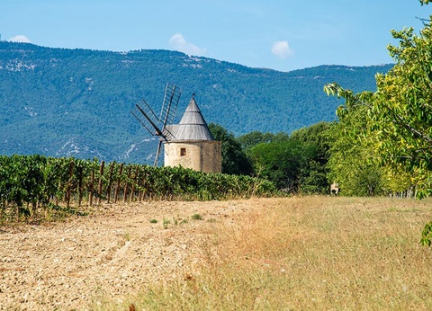 Camping Les Hautes Prairies 4* - 54