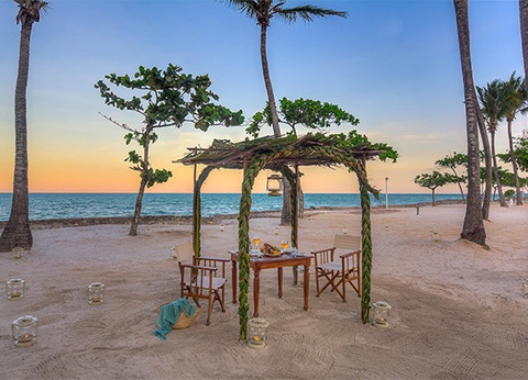 Hôtel Diamonds Mapenzi Beach 4* - 21