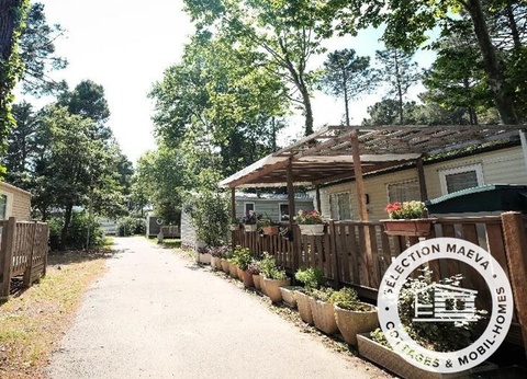 Camping Taxo les Pins, 4* - 23