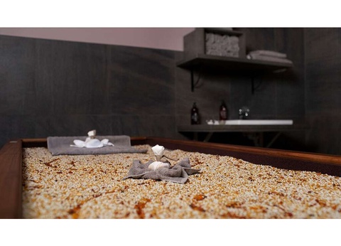 Séjour en appartement standing dans un écrin thermal et naturel au coeur des volcans d'Auvergne - 4* - 17