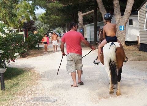 Camping Flamants Roses 4* - 47