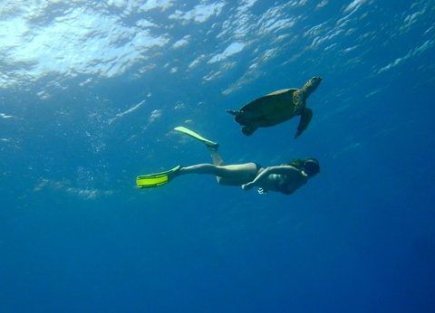 Circuit en liberté entre Bali et Gili Trawangan - 7